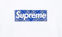 Bandana Box Logo Tee "FW19" SU8604