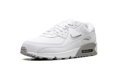 Air Max 90 "Jewel Light Smoke Grey" FN8005 100