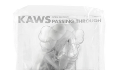Kaws Passing Through Companion "2018 Open Edition"