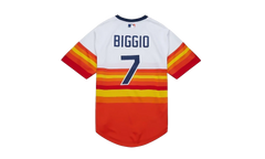 MLB Craig Biggio Alternate Jersey "2004 Houston Astros - White" AJY17186 HAS04CBGWHIT