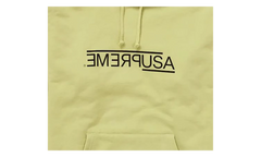 USA Hooded Sweatshirt "Light Sage" FW21SW79 LIGHT SAGE