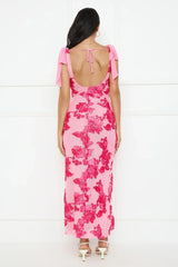 Ambrosia Mesh Maxi Dress Pink