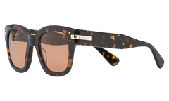 Classic Logo Sunglasses "Brown / Brown / Gold" XA41763AC BBG