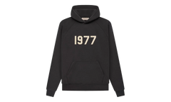 1977 Hooded Sweatshirt "Iron" 192BT212050F