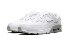 Air Max 90 "Jewel Light Smoke Grey" FN8005 100