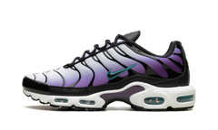 Air Max Plus "Reverse Grape" FQ2415 500