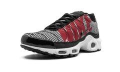 Air Max Plus TN SE "Striped" AT0040 001