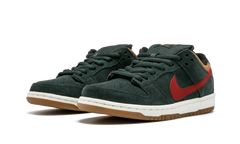 Dunk Low Pro SB 304292 362