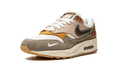 Air Max 1 Premium "Wabi-sabi" DQ8656 133