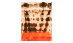 TIE DYE CREW SWEATSHIRT "Orange" AMR0090 Orange