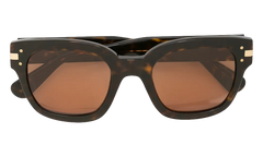 Classic Logo Sunglasses "Brown / Brown / Gold" XA41763AC BBG