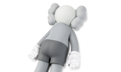 Kaws Companion "2020" KAWS067