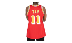 NBA Yao Ming Authentic Jersey "2004 Houston Rockets - Scarlet" AJY4CP18179 HROSCAR04YMI