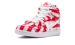 Dunk High Pro SB "Picnic Table" 305050 610