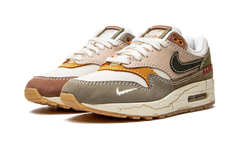 Air Max 1 Premium "Wabi-sabi" DQ8656 133