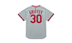 MLB Ken Griffey Jr. Alternate Jersey "2004 Cincinnati Reds - Grey" AJY17187 CRE04KGJGREY