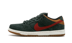 Dunk Low Pro SB 304292 362