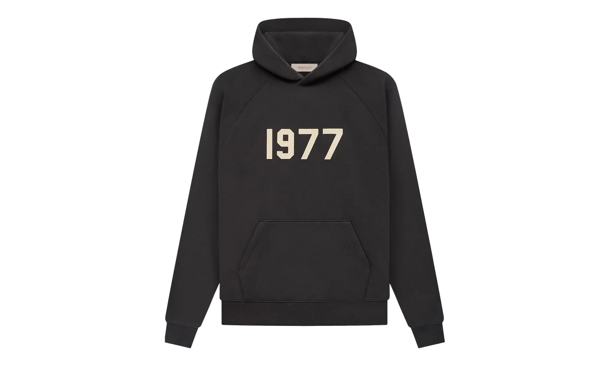 1977 Hooded Sweatshirt "Iron" 192BT212050F