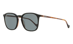 ML0150 Sunglasses "Shiny Classic Havana / Blue" ML0150 52V